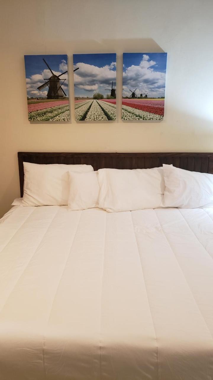Domus Hotel San Salvador Ngoại thất bức ảnh