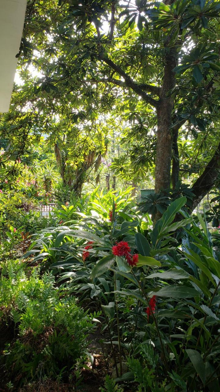 Domus Hotel San Salvador Ngoại thất bức ảnh